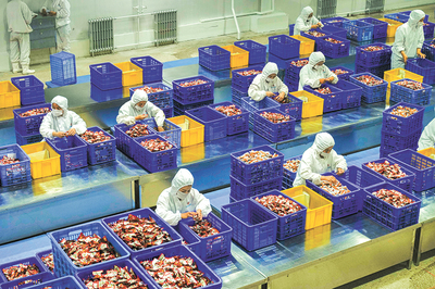 调整产品结构，精准满足多元消费需求——饮料行业的破局之道