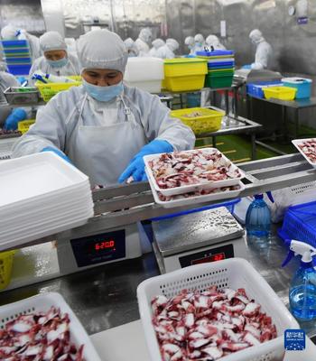 税收优惠注入新活力，福州饮料企业竞争力显著提升